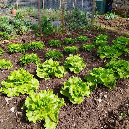 Fogar Do Pumar Apartmán