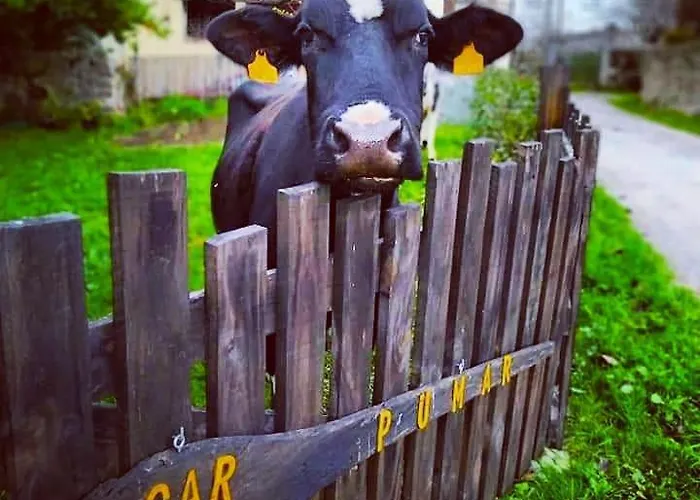 Διαμέρισμα Fogar Do Pumar Pantón