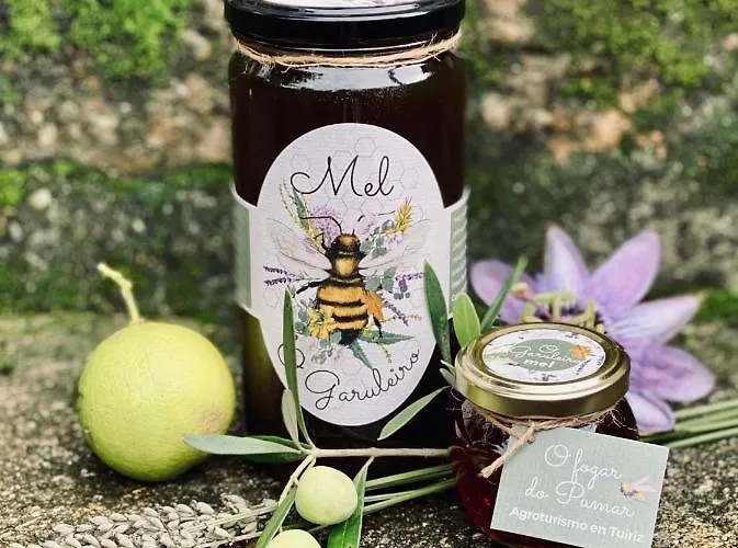 Fogar Do Pumar * Pantón