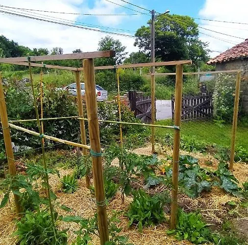 Fogar Do Pumar Διαμέρισμα *